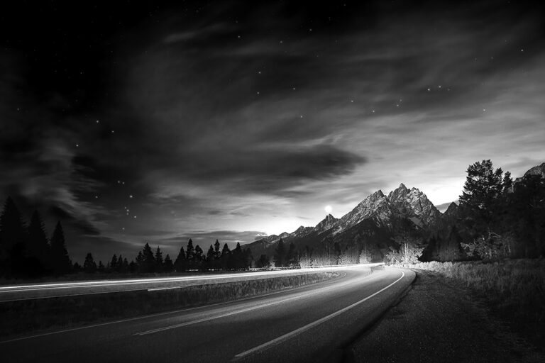 Moonlight Drive by Richard Bravo